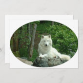 北極ウルフ招待状 招待状 (正面/裏面)