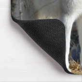 北極オオカミ マウスパッド (コーナー)