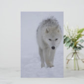 北極オオカミ 便箋 (スタンド正面)
