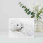 北極キツネは冬に巻き上げられた ポストカード (スタンド正面)