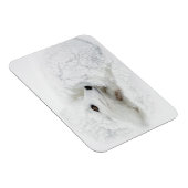 北極キツネは冬に巻き上げられた マグネット (右側)