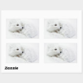 北極キツネは冬に巻き上げられた 長方形シール (シート)