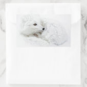 北極キツネは冬に巻き上げられた 長方形シール (バッグ)