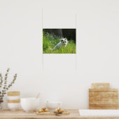 北極キツネポスター ポスター (キッチン)