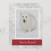 北極キツネ冬パーティの招待状 招待状 (正面/裏面)