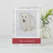 北極キツネ冬パーティの招待状 招待状 (スタンド正面)