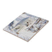 北極キツネ、チャーチル野生生物管理地区 タイル (側面)