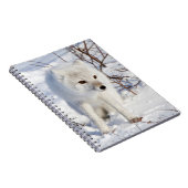 北極キツネ、チャーチル野生生物管理地区 ノートブック (右側)