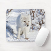 北極キツネ、チャーチル野生生物管理地区 マウスパッド (マウス)