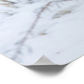 北極キツネ ポスター (角)