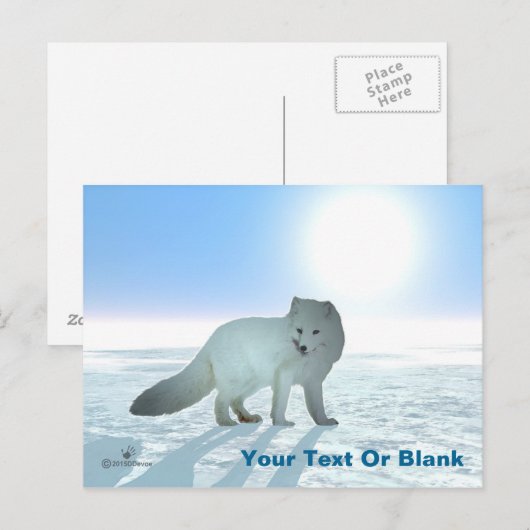 北極キツネ ポストカード (正面/裏面)