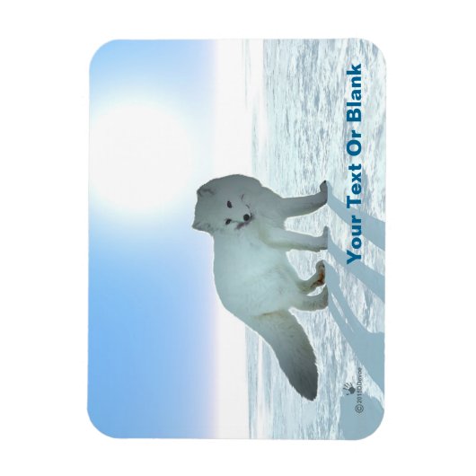 北極キツネ マグネット (縦)