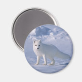 北極キツネ マグネット (正面/裏面)