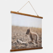 北極キツネ 吊り下げ型タペストリー (傾斜あり)