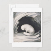 北極キツネ「第二航海の物語」より ポストカード (正面/裏面)