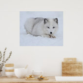 北極キツネin the Snow ポスター (キッチン)