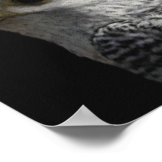 北極ギャルファルコン ポスター (角)