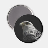 北極ギャルファルコン マグネット (正面/裏面)