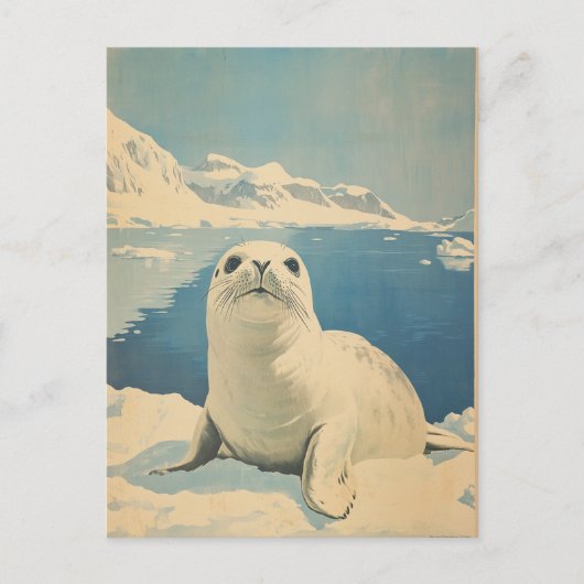 北極シールヴィンテージ ポストカード (正面)
