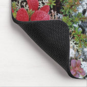 北極ツンドラのデナリ国立公園アラスカ マウスパッド (コーナー)