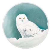 北極ティール（緑がかった色）スノーフクロウ セラミックノブ (正面)