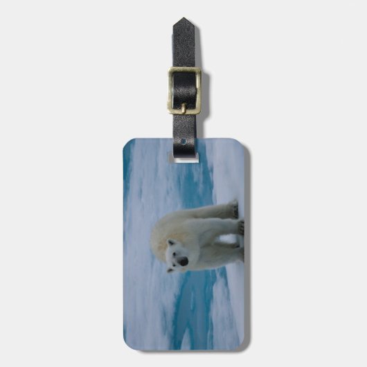 北極パック氷に関係して下さい ラゲッジタグ (正面縦)