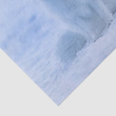 北極フォックスティッシュペーパー 薄葉紙 (詳細)