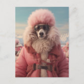 北極プードル ポストカード (正面)