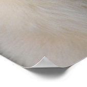 北極ポートレート ポスター (角)