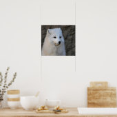 北極ポートレート ポスター (キッチン)