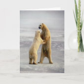 北極ワルツ カード (正面)