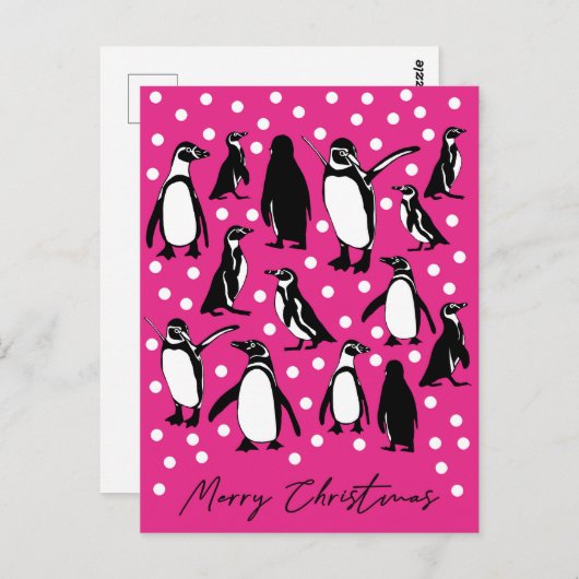 北極動物コレクション – ペンギン ポストカード (正面/裏面)