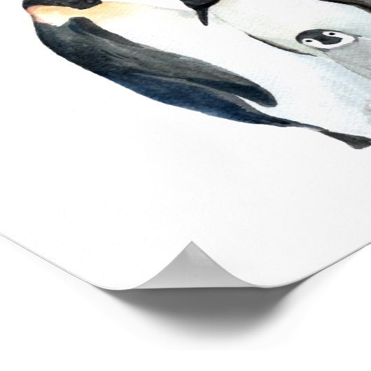 北極動物 |教育学教室 ポスター (角)