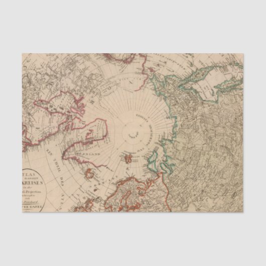 北極北半球 薄葉紙 (正面)