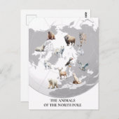 北極北極圏の動物 ポストカード (正面/裏面)