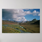 北極国立野生生物保護区 ポスター (正面)