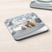 北極圏にSAGONを救追加(Planet Ice) コースター (左側)