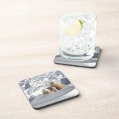 北極圏にSAGONを救追加(Planet Ice) コースター (右側)