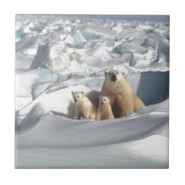 北極圏にSAGONを救追加(Planet Ice) タイル