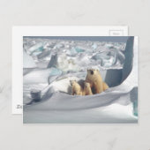 北極圏にSAGONを救追加(Planet Ice) ポストカード (正面/裏面)