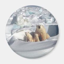 北極圏にSAGONを救追加(Planet Ice)
