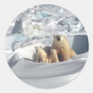 北極圏にSAGONを救追加(Planet Ice) ラウンドシール