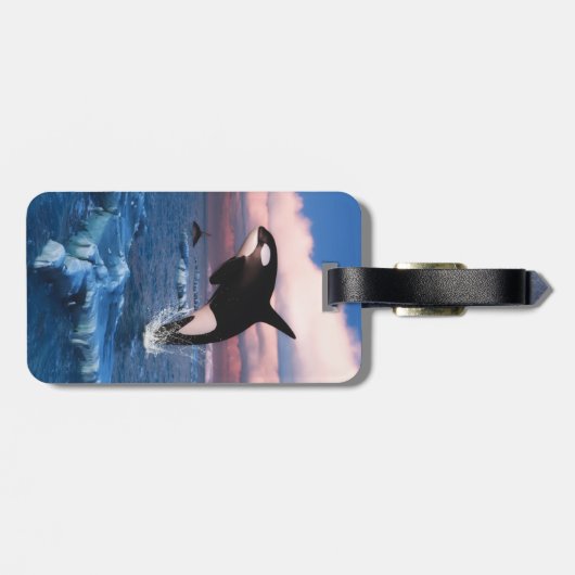 北極圏のシャチ海 ラゲッジタグ (裏面横)
