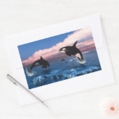 北極圏のシャチ海 長方形シール (封筒)