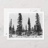 北極圏の北に位置するスノーキャンプ ポストカード (正面/裏面)