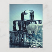 北極圏の北極熊救惑星に独自のスローガンを追加 ポストカード (正面)