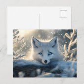 北極圏キツネと魅惑する青い目 ポストカード (正面/裏面)