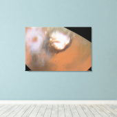 北極地域から見られる火星のサイクロン キャンバスプリント (インサイチュ (ウッドフロア))