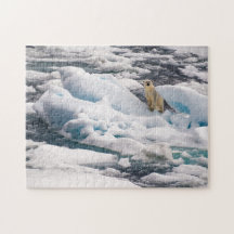 北極地方スバルバードのブルーアイスバーグにホッキョクグマ