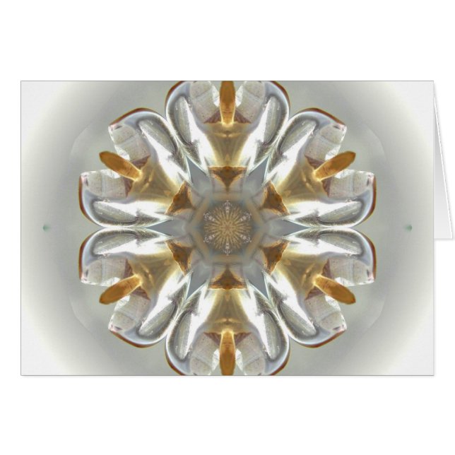 北極天使 (正面横)